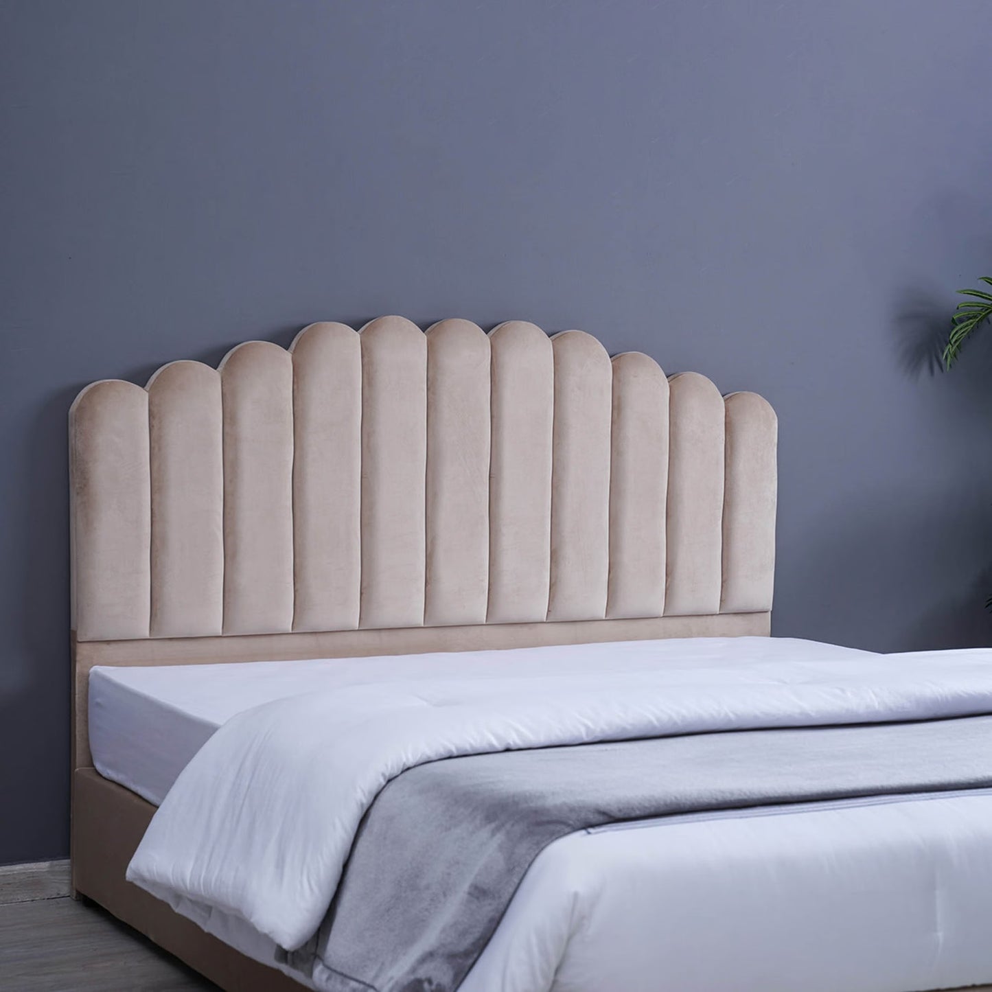 Modern Scalloped Upholstered Bed - Timber Land Home Furniture