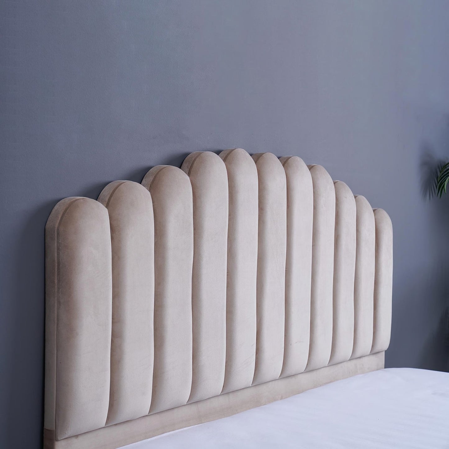Modern Scalloped Upholstered Bed - Timber Land Home Furniture